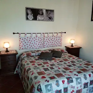 Alexander Couette-café Ciampino